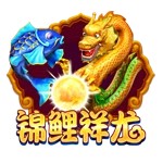 Www.yxvip006.com